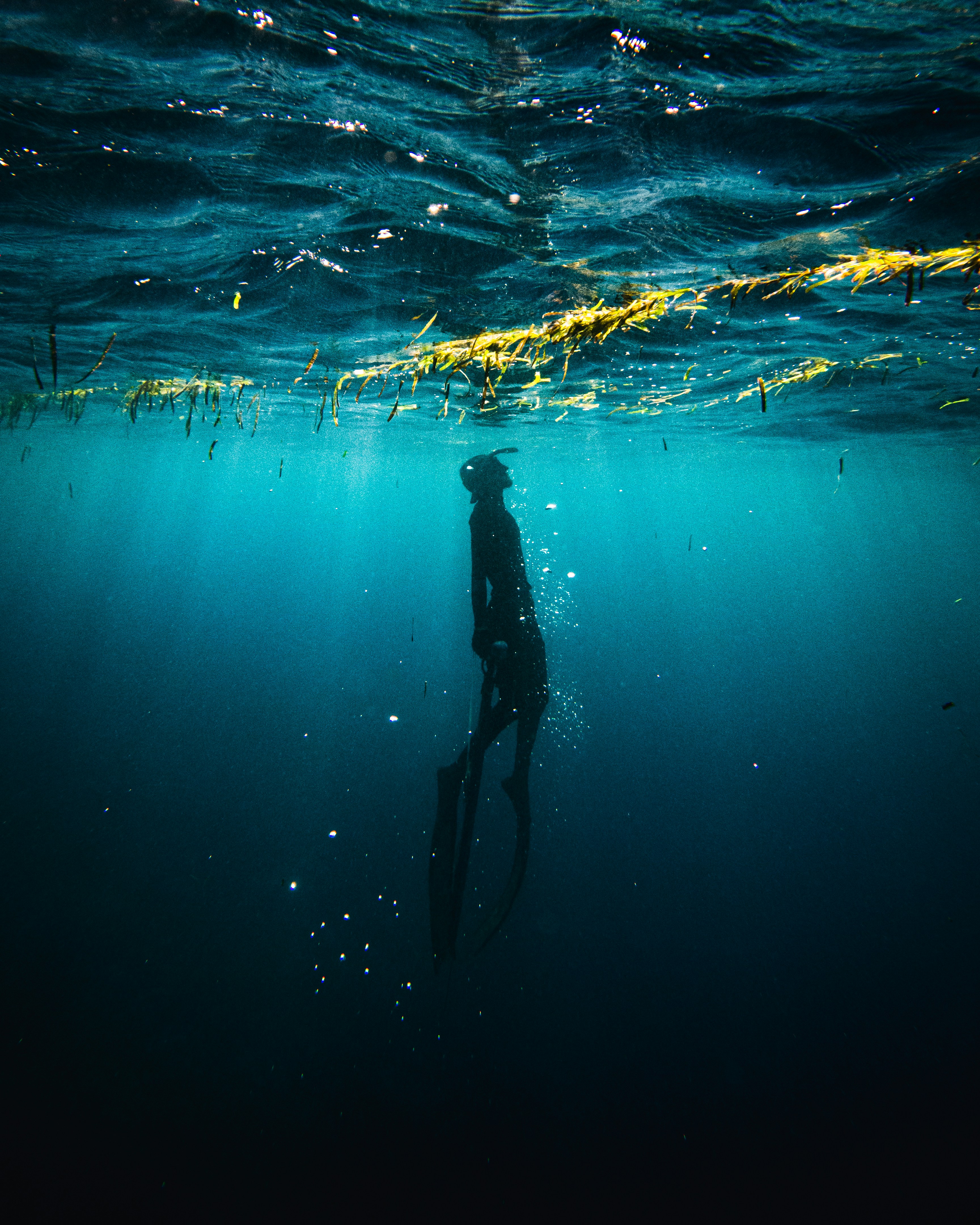 Photo by Ibrahim Shabil via Unsplash.