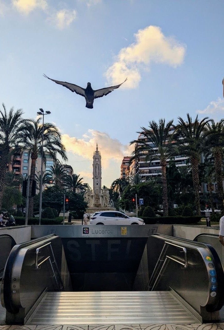 Alicante