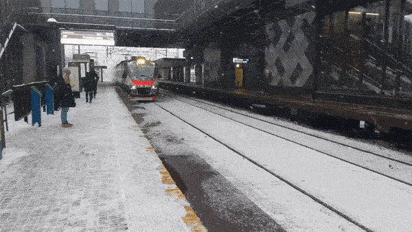 Novodachnaya station