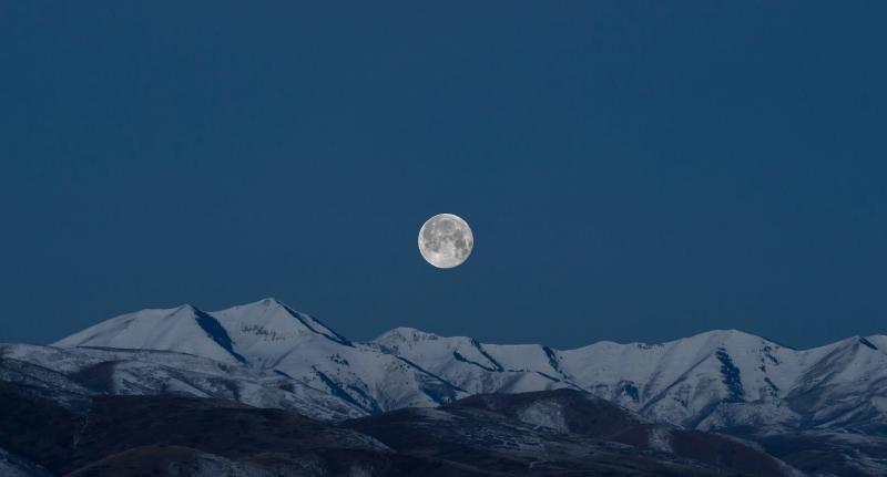 Featured thumbnail of post The Dispossessed: Putting Together The Puzzle